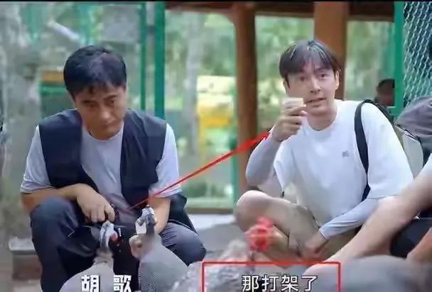 從梅長蘇到生態(tài)管家:20年兄弟情在青海草原續(xù)寫另一種傳奇\"