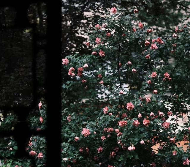 男人老了的通病,女人別再傻了。